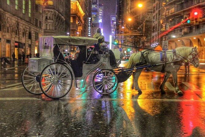 Horse Carriage Tour in New York City's Central Park Small Loop - Final thoughts: who should take this tour?