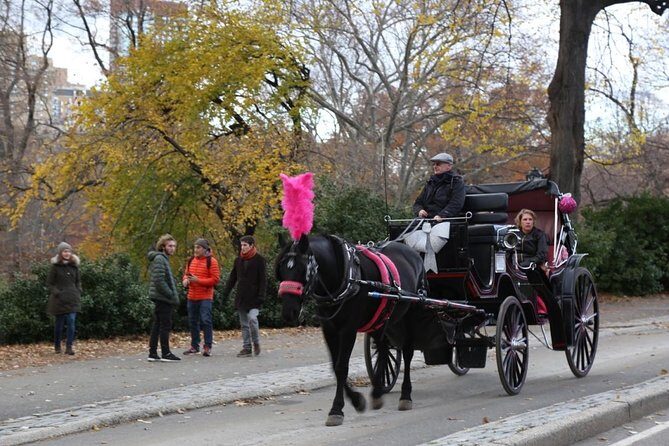 Horse Carriage Tour in New York City's Central Park Small Loop - FAQ