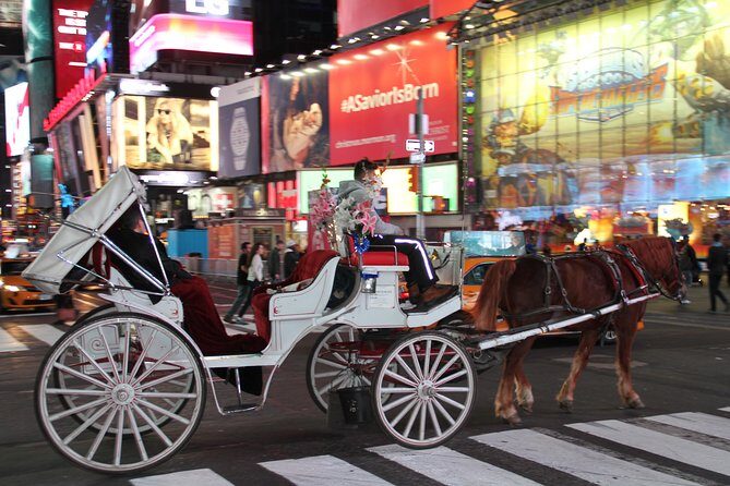 Horse Carriage Tour in New York City's Central Park Small Loop - To sum it up