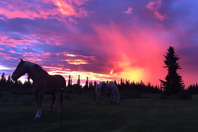 Horse-Drawn Covered Wagon Ride with Backcountry Dining - The Return Journey & Scenic Wrap-up