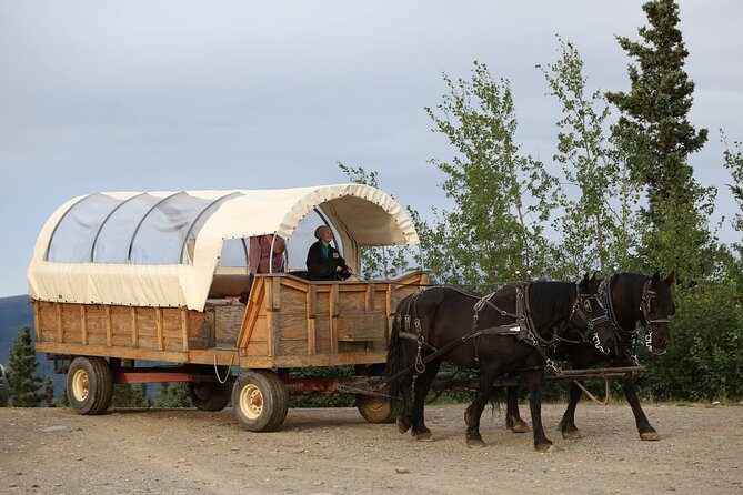 Horse-Drawn Covered Wagon Ride with Backcountry Dining - Practical Tips for Travelers