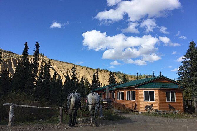 Horse-Drawn Covered Wagon Ride with Backcountry Dining - Who Will Enjoy This Tour?