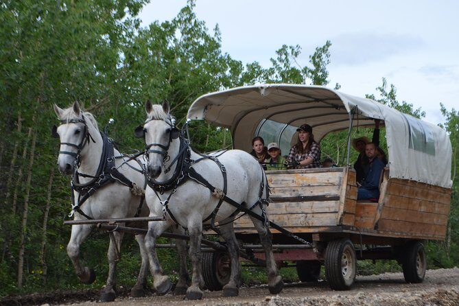 Horse-Drawn Covered Wagon Ride with Backcountry Dining - Final Thoughts