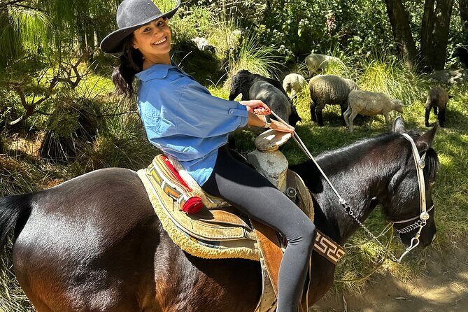 Horse experience with my family - Final Thoughts