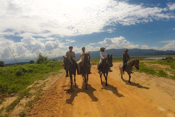 Horse Lesson+Riding+Wat Tonkwen wooden temple.Chiangmai - The Experience from Past Travelers