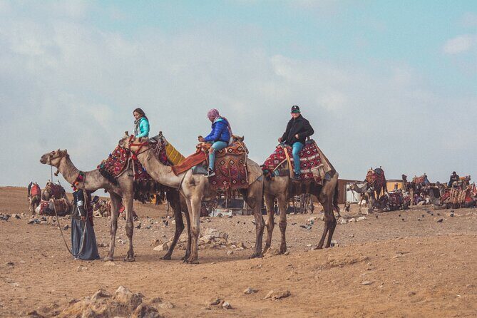 Horse or Camel Ride in Giza Pyramids - An In-Depth Look at the Giza Horse and Camel Tour