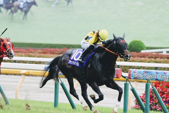 Horse Racing Tour with Local Fans in Tokyo - Key Points