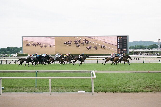 Horse Racing Tour with Local Fans in Tokyo - A Detailed Look at the Tokyo Horse Racing Tour