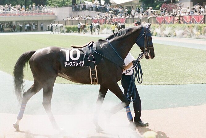 Horse Racing Tour with Local Fans in Tokyo - FAQ
