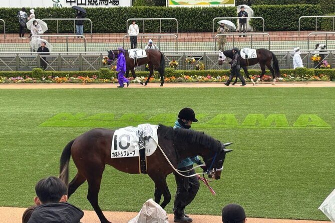 Horse Racing Tour with Local Fans in Tokyo, Oi Racecourse - Who Will Love This Tour?