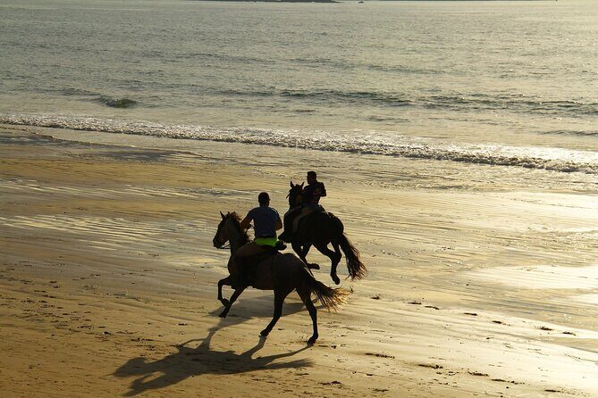 Horse Ride in Taghazout or Agadir - Introduction