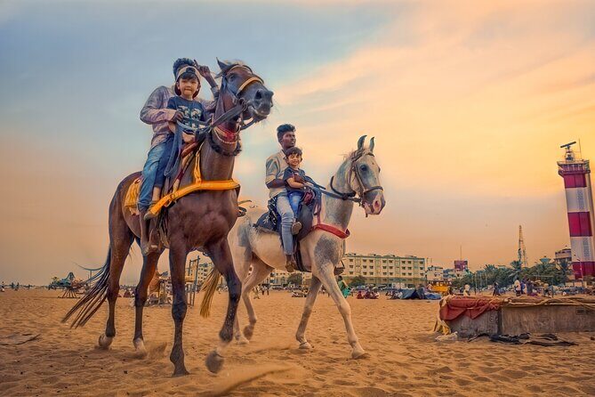Horse Ride in Taghazout or Agadir - Exploring the Tour’s Highlights and Itinerary