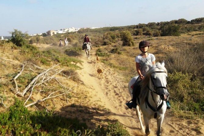 Horse Ride on the Beach in Essaouira - The Itinerary: What You Can Expect