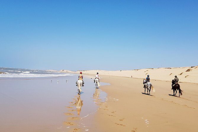 Horse Ride on the Beach in Essaouira - Value and Costs: Is It Worth It?