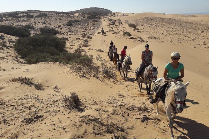 Horse Ride on the Beach in Essaouira - The Reviews: Authentic Perspectives