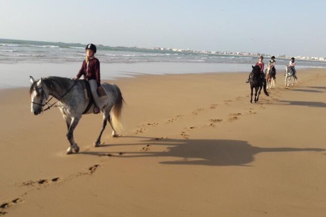 Horse Ride on the Beach in Essaouira - FAQs