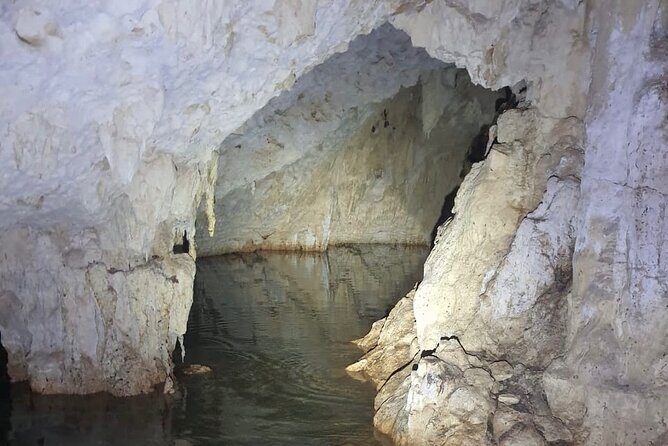 Horse Ride to Cenote Mil Columnas - Authentic Experiences and Real Traveler Feedback