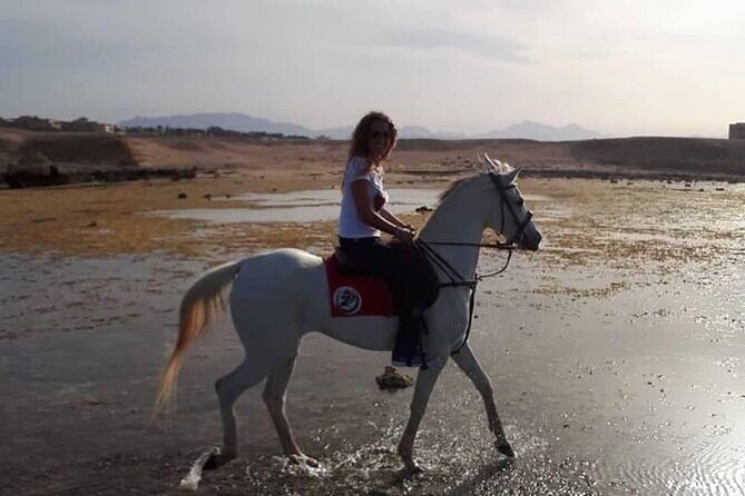 Horse Ride Trip , Bedouin Dinner And Show - Sharm El Sheikh - A Closer Look at the Experience