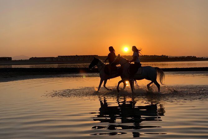 Horse Riding 3 Hours Beach, Desert, & Swimming By Horse in red sea - Hurghada - What to Expect from the Tour