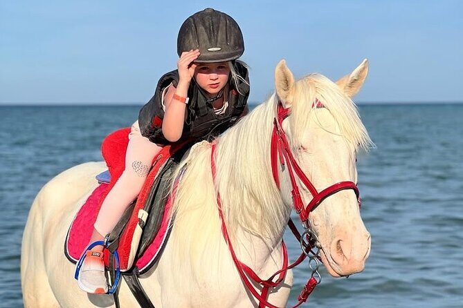 Horse riding Adventure on the Sea with Transfer in Hurghada - Final Thoughts: Who Will Love This Tour?