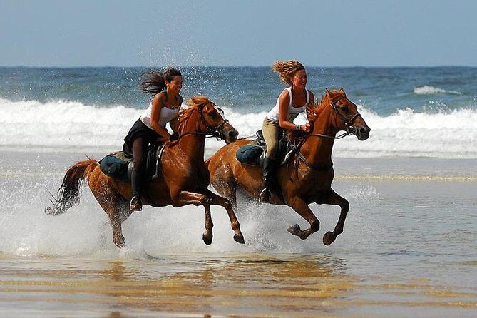Horse Riding Agadir - An Overview of the Horse Riding Agadir Experience