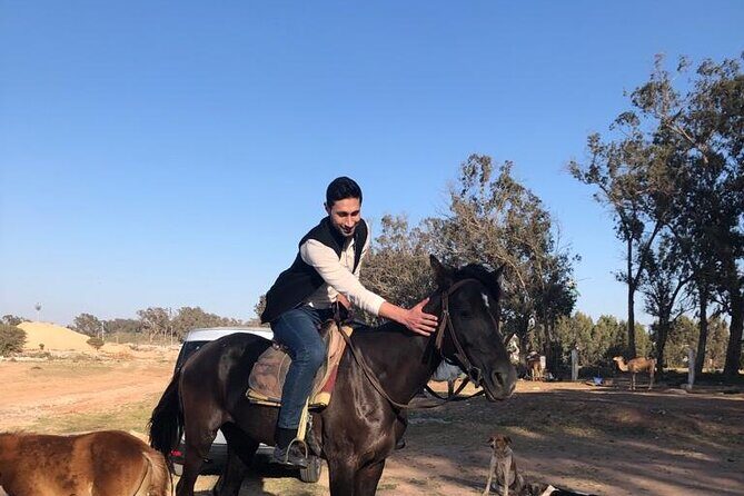 Horse Riding Agadir - Cost and Value