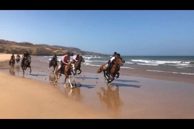 Horse Riding Agadir - Authenticity and Real Experiences