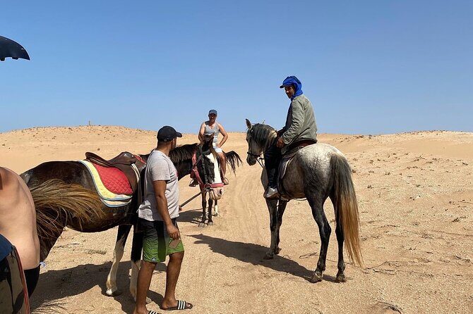 Horse Riding Agadir - Practical Tips for Participants