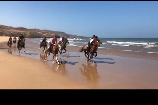 Horse Riding Agadir - The Sum Up: Is This Tour Worth It?