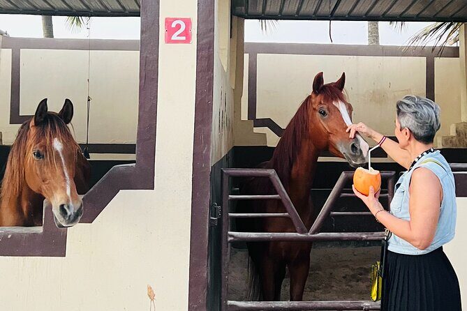 Horse riding by the beach Salalah - Discovering the Experience: A Closer Look