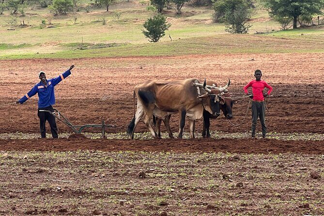 Horse Riding Community Village Tour Experience - Authenticity and the Experience for Travelers