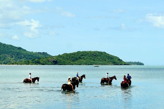 Horse Riding experience by Haras du Morne - The Sum Up