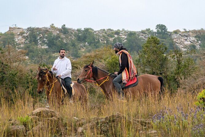 Horse Riding Experience in Riyadh | Tanomah | Jeddah | Al Ula - An Overview of the Horseback Riding Tour in Saudi Arabia
