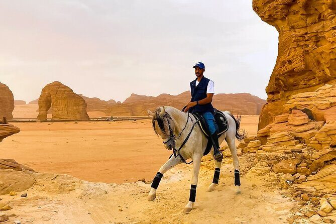 Horse Riding Experience in Riyadh | Tanomah | Jeddah | Al Ula - Authentic Experiences and Honest Feedback
