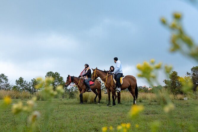 Horse Riding Experience in Riyadh | Tanomah | Jeddah | Al Ula - Who Should Consider This Tour?