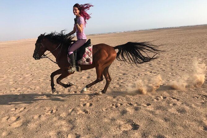 Horse Riding in Amazing Dessert With Transfer - Marsa Alam - Overview of the Horse Riding Tour in Marsa Alam