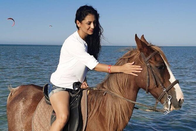 Horse Riding in Amazing Dessert With Transfer - Marsa Alam - Detailed Breakdown of the Itinerary