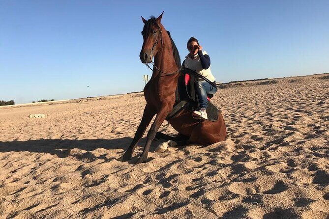 Horse Riding in Amazing Dessert With Transfer - Marsa Alam - Final Thoughts: Is This Tour Worth It?