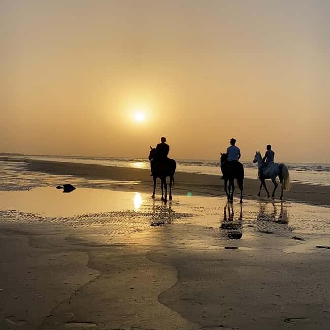 Horse riding in muscat beach - Key Points