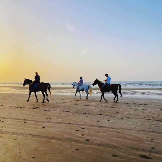 Horse riding in muscat beach - A Detailed Look at the Horse Riding Experience in Muscat