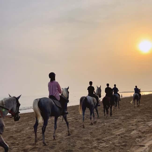 Horse riding in muscat beach - The Sum Up