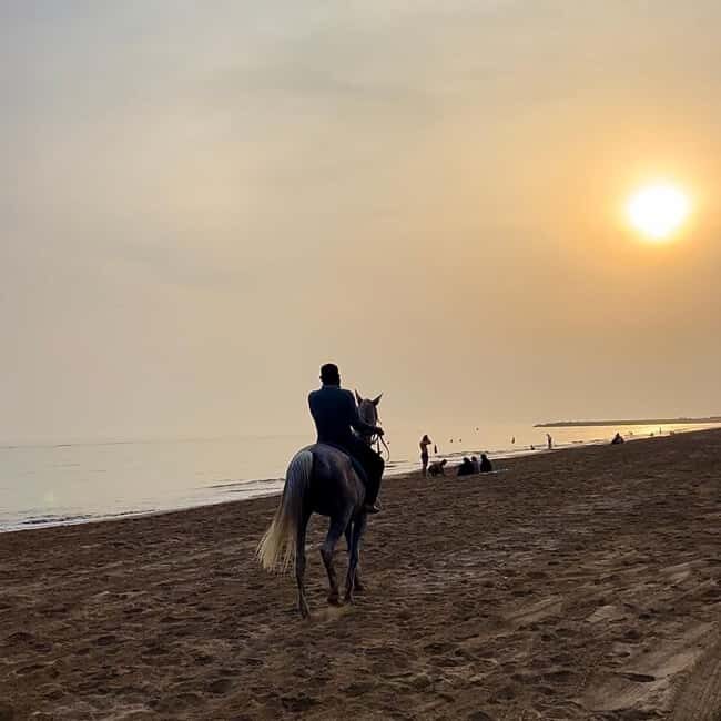 Horse riding in muscat beach - FAQ