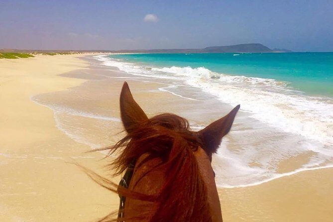 Horse Riding in Sal Island - Cabo Verde - A Closer Look at the Reviews