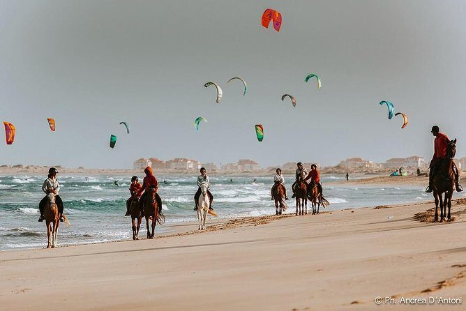 Horse Riding in Sal Island - Cabo Verde - FAQ