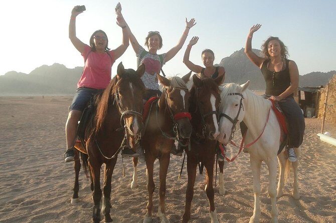 Horse riding in Sharm el sheikh desert - What to Expect from the Horseback Riding Experience