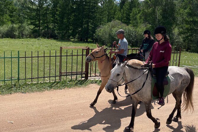 Horse riding in Terelj National Park - Authentic experiences that resonate