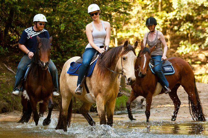 Horse Riding, Koalas & Kangaroos - Wild Australia: Private Tour - Key Points