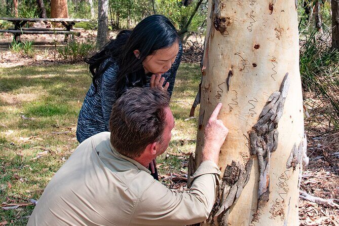 Horse Riding, Koalas & Kangaroos - Wild Australia: Private Tour - FAQ