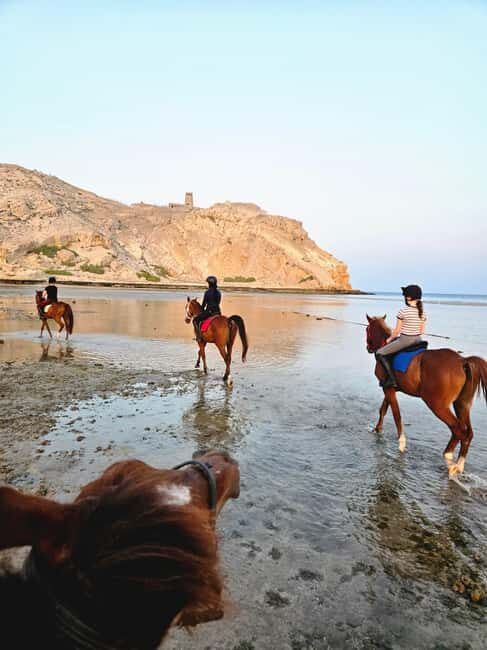 Horse Riding Muscat | Beach Horse Riding - Practical Details: Booking, Pricing, and Logistics