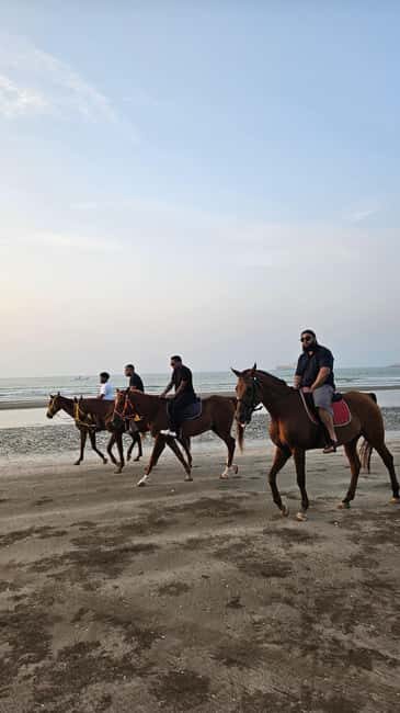 Horse Riding Muscat | Beach Horse Riding - The Experience for Different Travelers